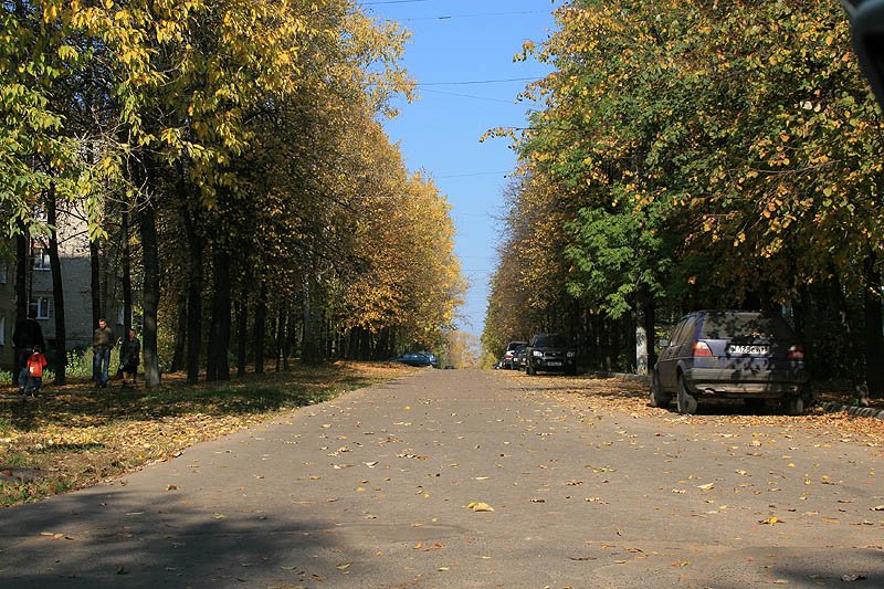 Вид на улицу Пионерская от улицы Спортивной, сентябрь 2007 года