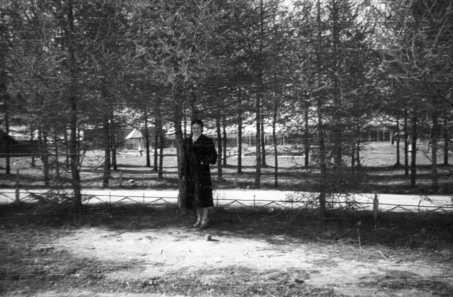 В парке за "штабом" (между школой №2 и домом №25/2 на проспекте Испытателей), 1960-е годы