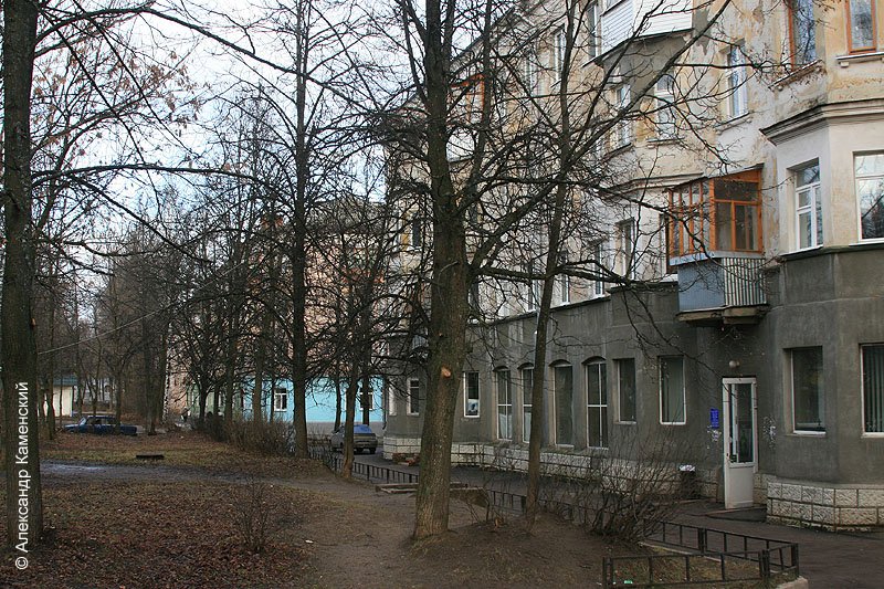 Дом №10 по Комсомольской улице с продуктовым магазином, который называют "Старый", 2006