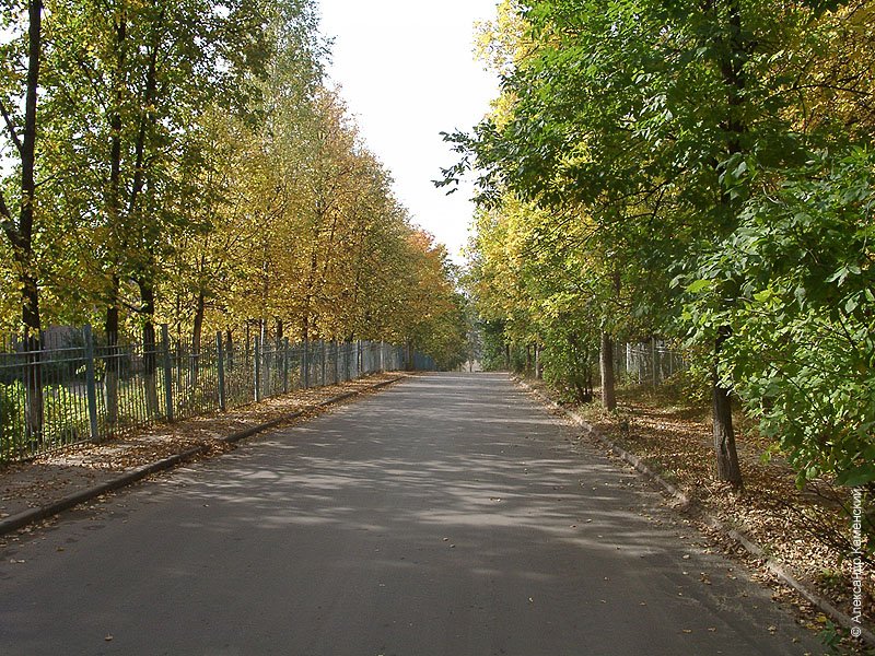 Улица Спортивная в Красноармейске, 2003 год