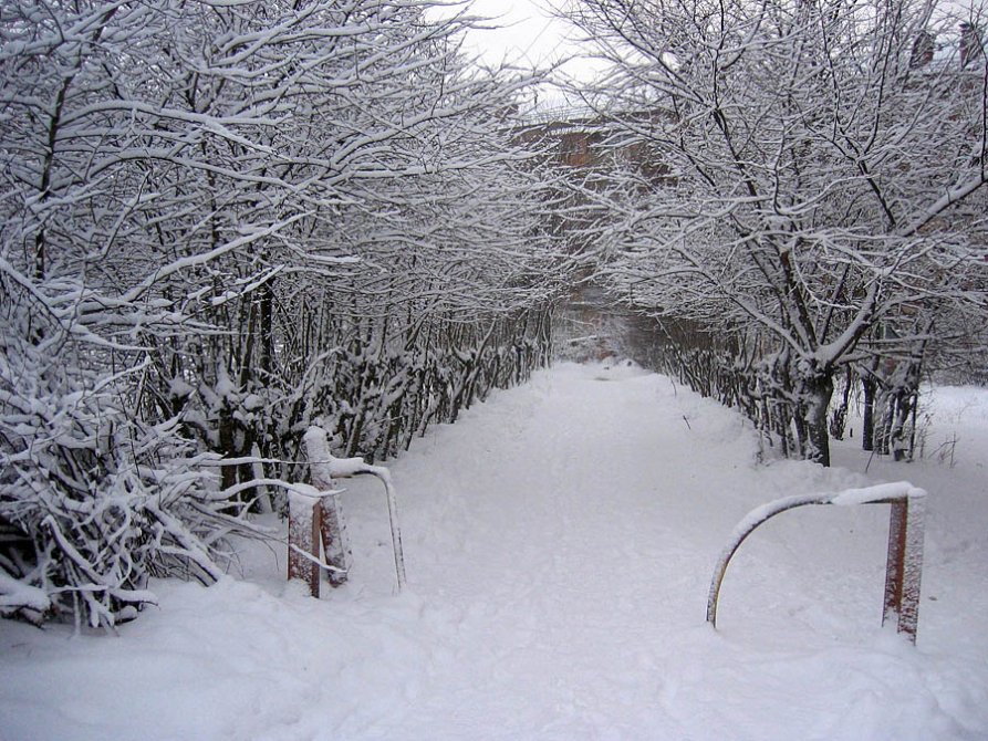 Улица Дачная, после первого снегопада, 2005 год