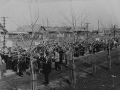 Демонстрация на Восточной улице в Красноармейске, 1960-е годы