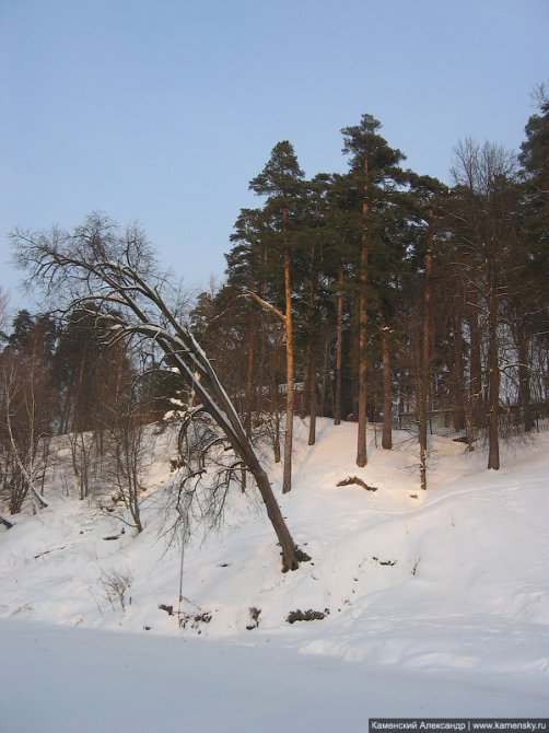 Река Воря подо льдом и обрыв около пионерского лагеря Искра, февраль 2006 года