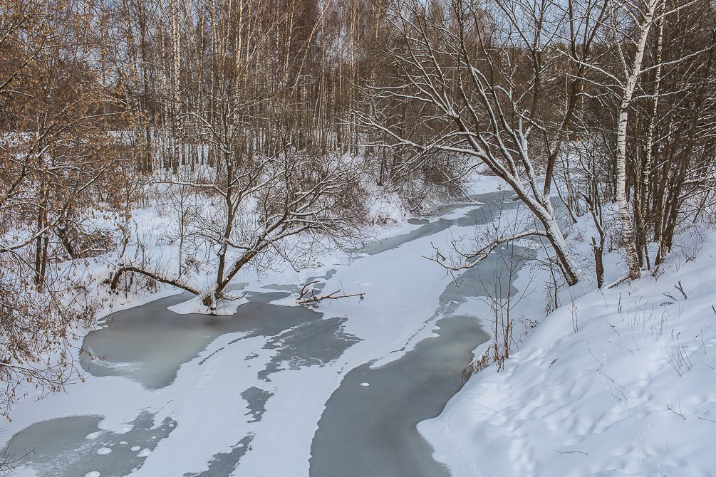 Река Воря, окрестности Лесничества, январь 2015 года