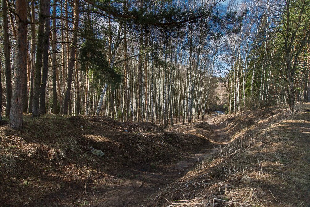 Красноармейск, спуск от улицы Ворошилова, апрель 2015 года