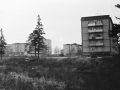 Пустырь между домами улицы Морозова и Балсунихой, 1980-е годы