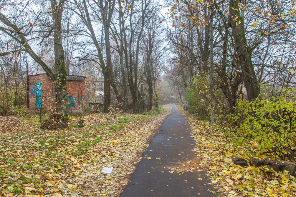 Тропинка в Заречный тупик, октябрь 2015 года