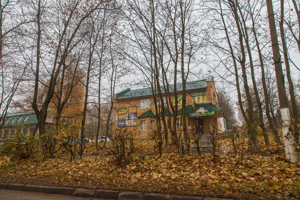 Новое здание на проспекте Испытателей в районе дома 17, октябрь 2015 года