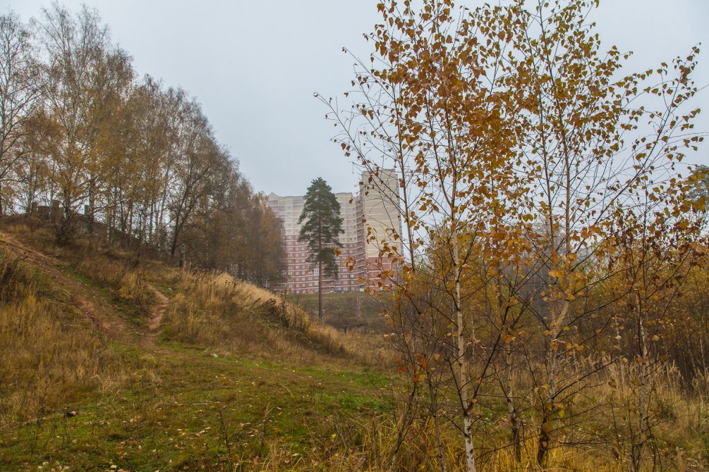 Осень в Красноармейске, окрестности улицы Гагарина, октябрь 2015 года