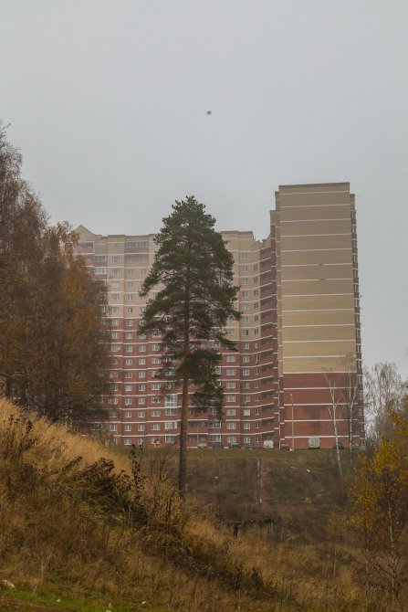Осень в Красноармейске, окрестности Красного Поселка, октябрь 2015 года