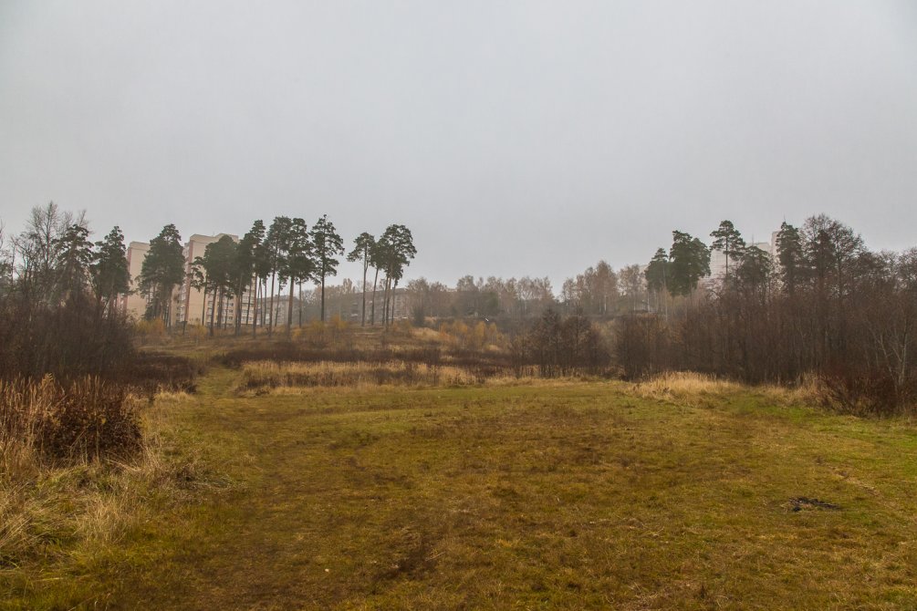 Осень в Красноармейске, окрестности улицы Гагарина, октябрь 2015 года