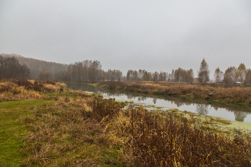 Осень в Красноармейске, окрестности городского пляжа на Воре, октябрь 2015 года