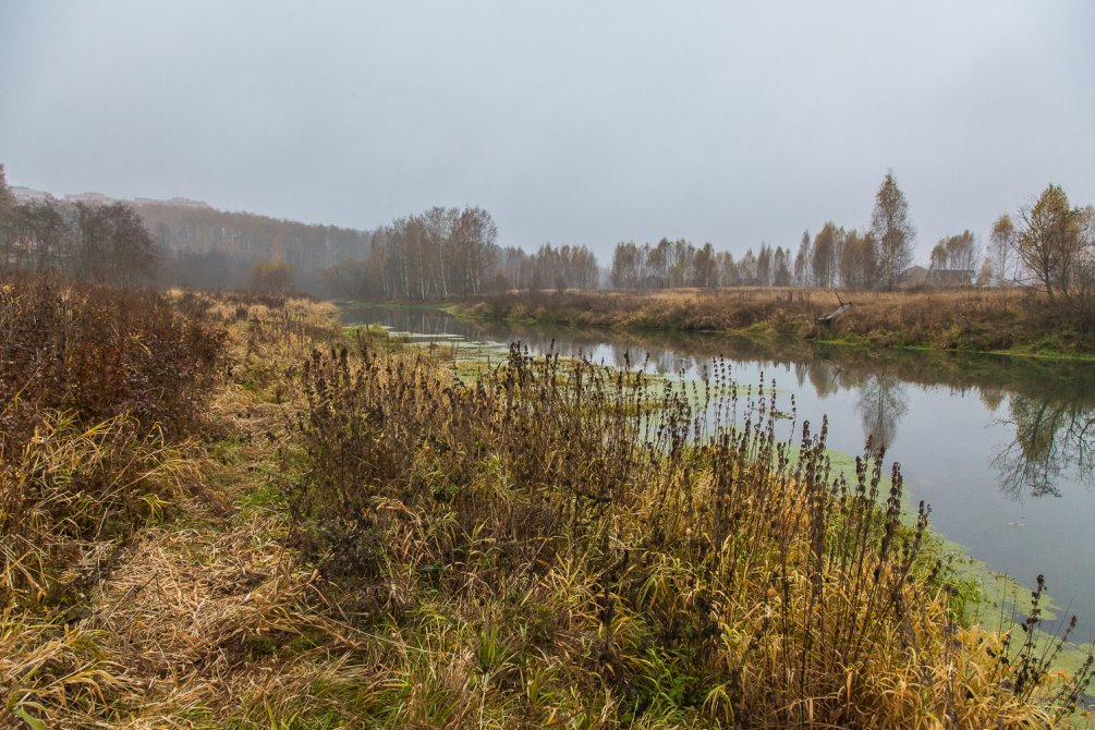 Осень в Красноармейске, окрестности городского пляжа на Воре, октябрь 2015 года