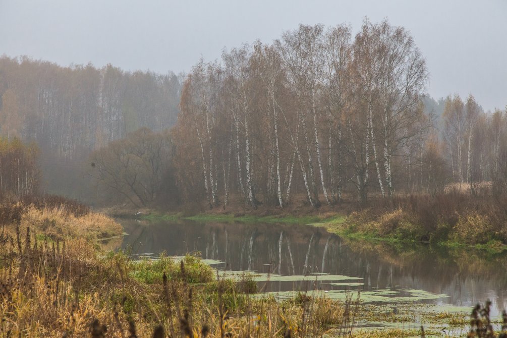 Осень в Красноармейске, окрестности городского пляжа на Воре, октябрь 2015 года
