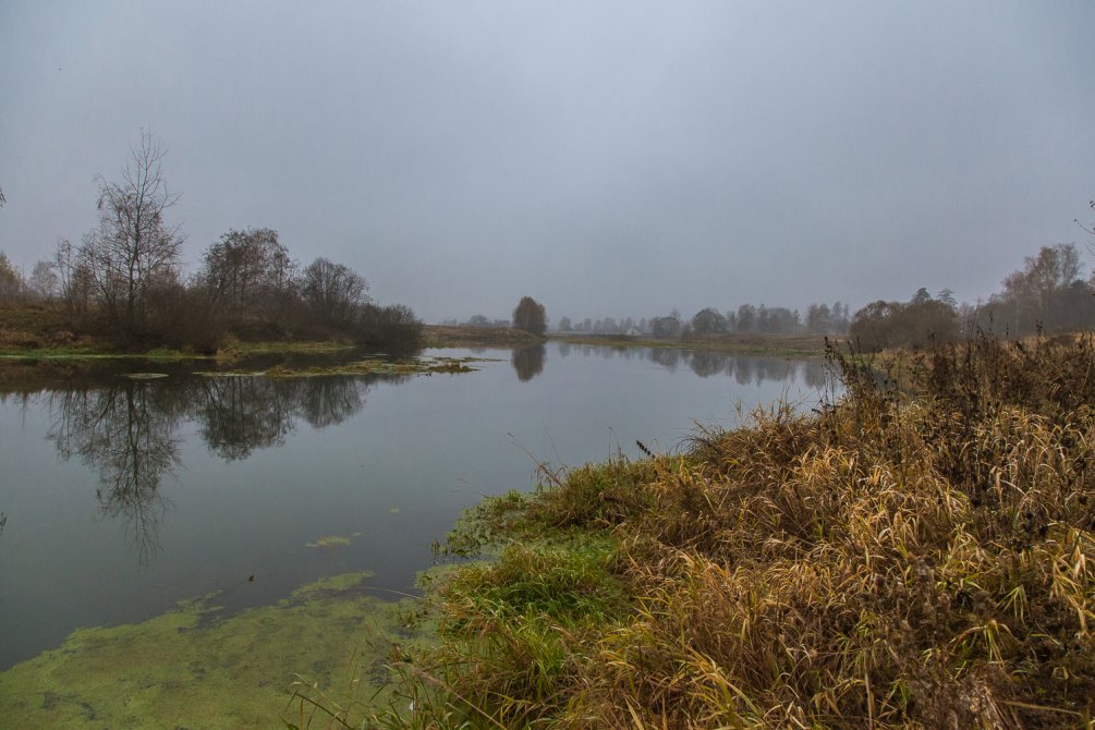 Осень в Красноармейске, окрестности городского пляжа на Воре, октябрь 2015 года