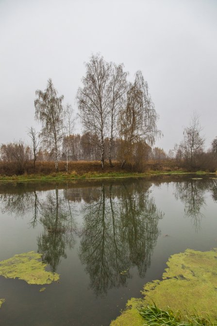 Осень в Красноармейске, окрестности городского пляжа на Воре, октябрь 2015 года