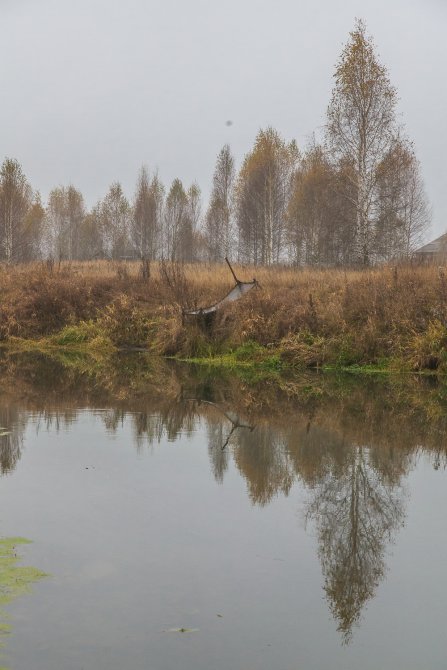 Осень в Красноармейске, окрестности городского пляжа на Воре, октябрь 2015 года