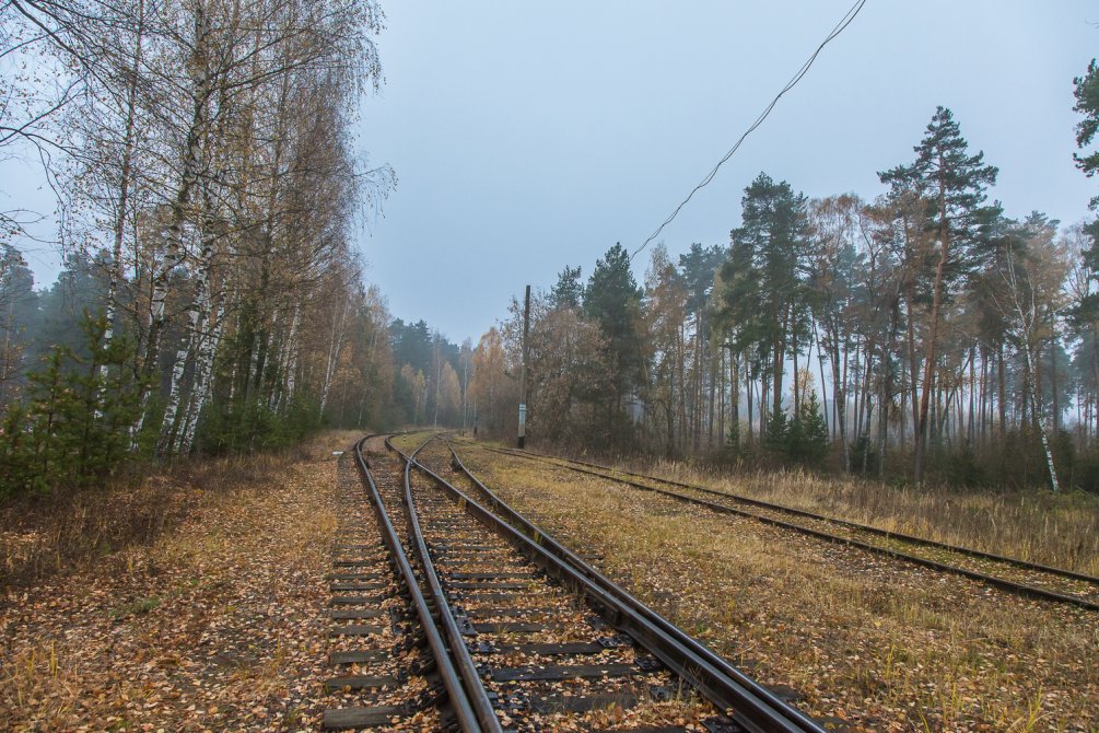 Железнодорожный разъезд около поселка УКС, октябрь 2015 года