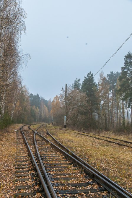 Железнодорожный разъезд около поселка УКС, октябрь 2015 года