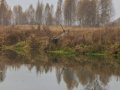 Осень в Красноармейске, окрестности городского пляжа на Воре, октябрь 2015 года