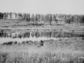 Река Воря в районе лодочной станции, 1960-е годы