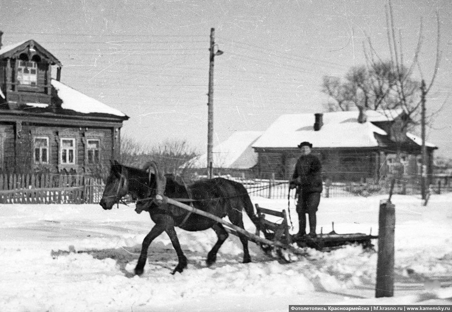 Деревня Путилово, 1950-е годы, на подводе