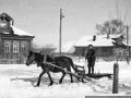 Деревня Путилово, 1950-е годы, на подводе