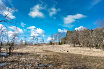 Красноармейск, в лесу в окрестностях Балсунихи, апрель 2015 года