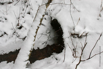 Водопропускная труба под насыпью, окрестности Федоровского